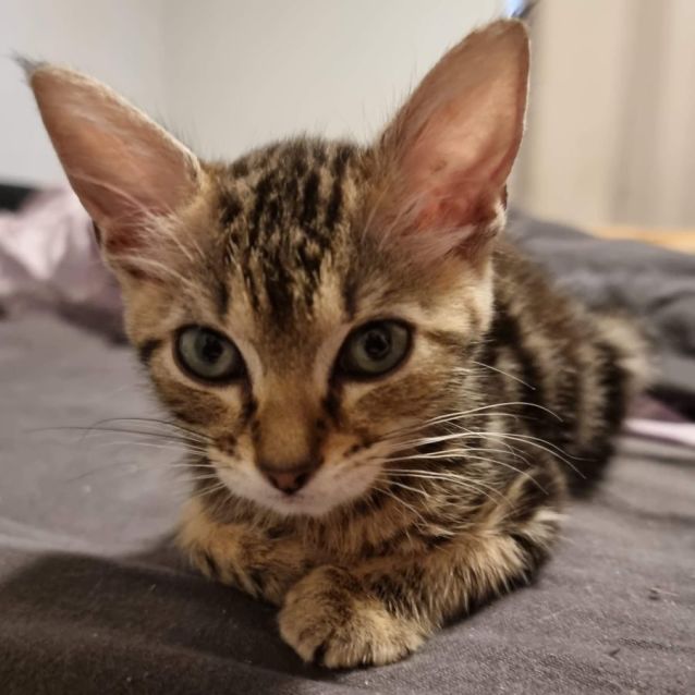 Photo of Eve