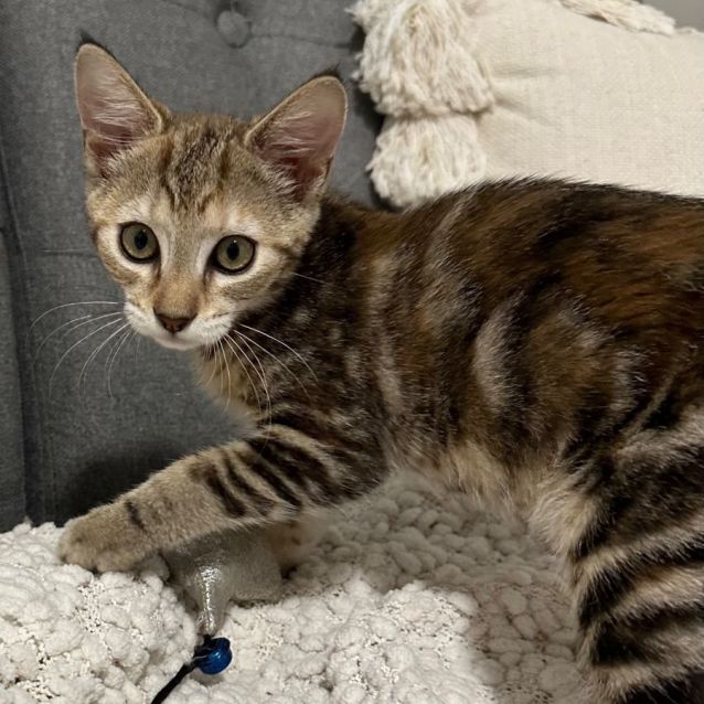 Photo of Elsie 🦋💕