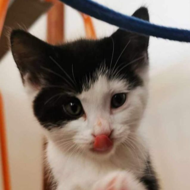 Photo of Ace & Aria 🌸