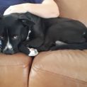 Photo of Jack