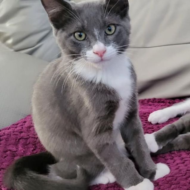 Photo of Archie