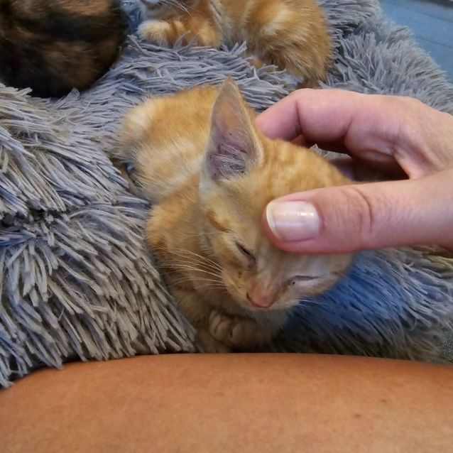 Photo of 🧡 Spot 🧡