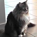 Photo of Tilly