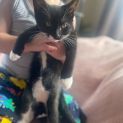 Photo of Oreo & Milly