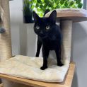 Photo of ๐ด Paisley F02316 ๐ด