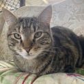 Photo of Freda