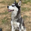 Photo of Skyla 