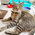 Photo of Jaffa