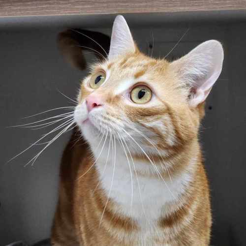 🌤 Kenny 5576 🌤