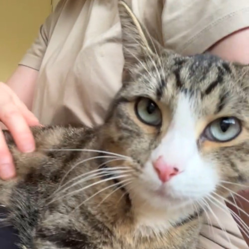 No photo for Sombrero