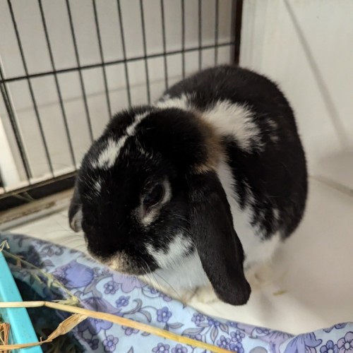 No photo for Harry & Clara