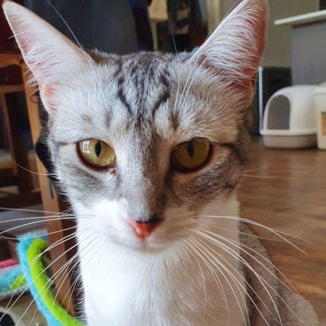 Photo of Jewel 