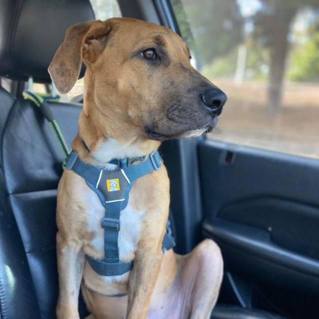 Photo of Pup Pup 🐕🐾♥️