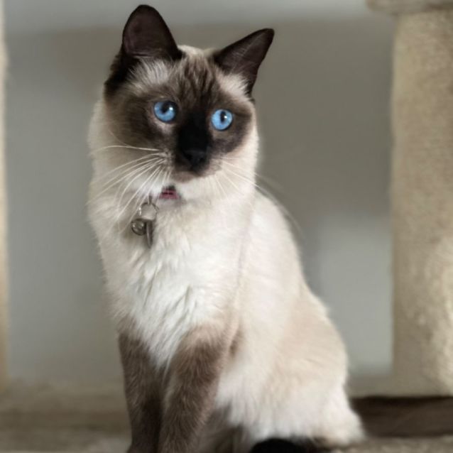 Photo of Tilly ❤️