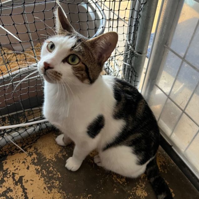 Photo of Prince Lucky 