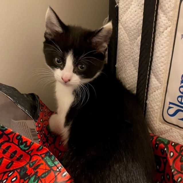 Photo of Helga   Bonded With Ilse