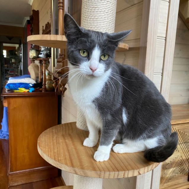 Photo of Chippy 🌸🌸