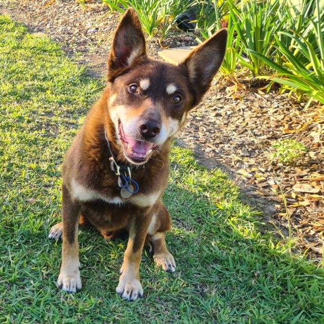 Photo of Rai