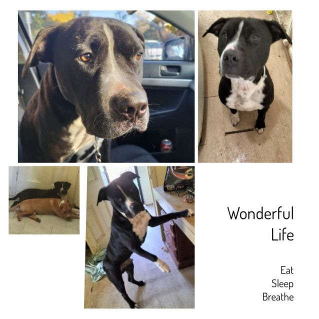 Photo of Brutas ** Love Bug **