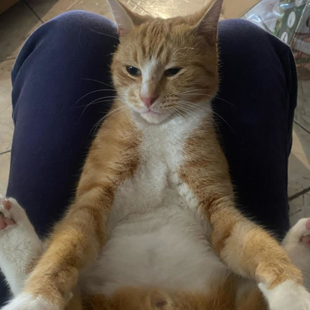 Photo of Charlie