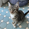 Photo of Jack