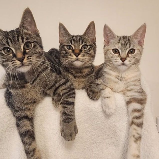 Photo of Harriet 🥰