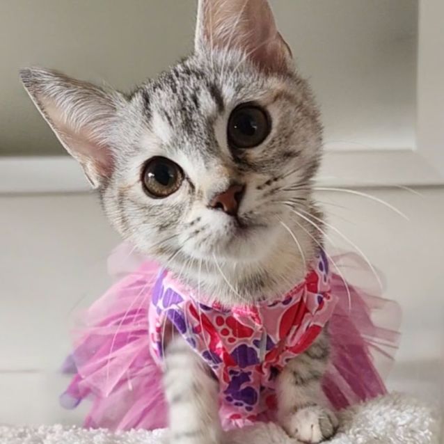 Photo of Hadley 🫶