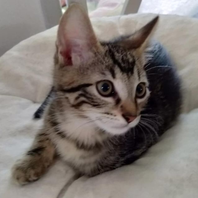 Photo of Walter