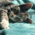 Photo of Tabitha