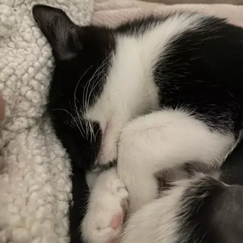 🎀🎀Penny🎀🎀