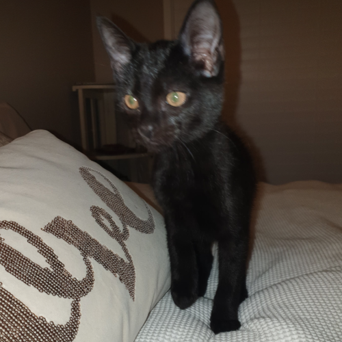 Ezra