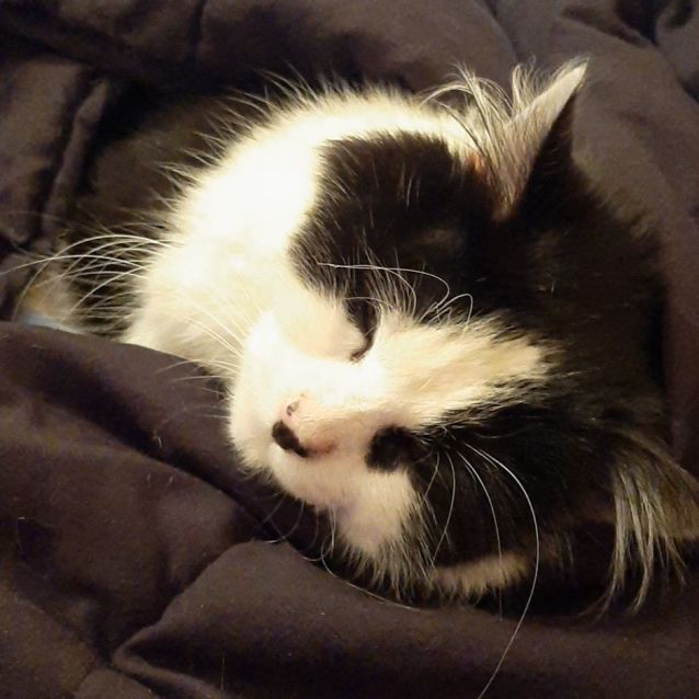 Photo of Andy   Meet Me At Neko Hq In Preston