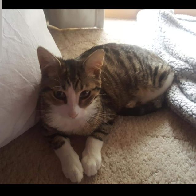 Photo of Elliot