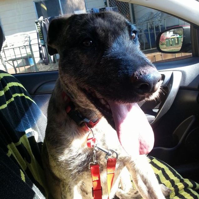 Photo of Roxy