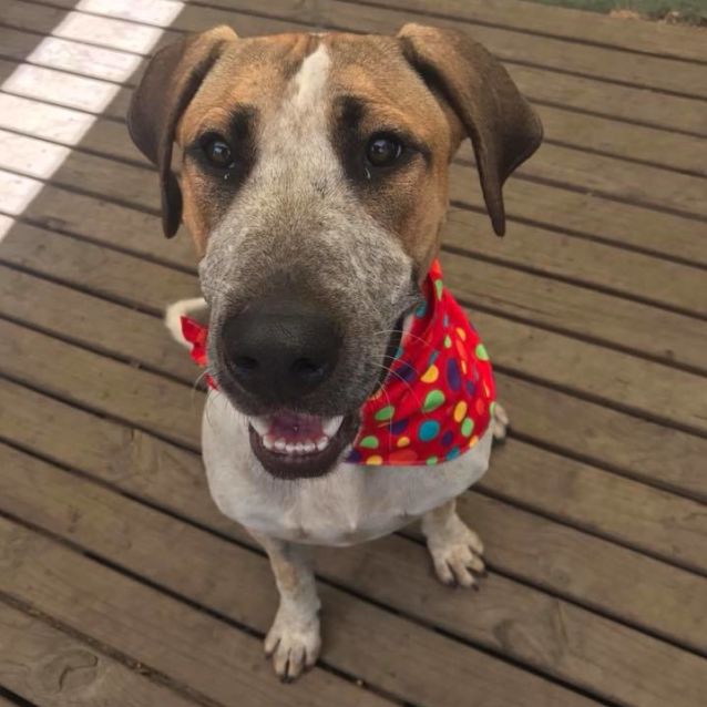 Photo of Tilly