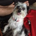 Photo of Mannie