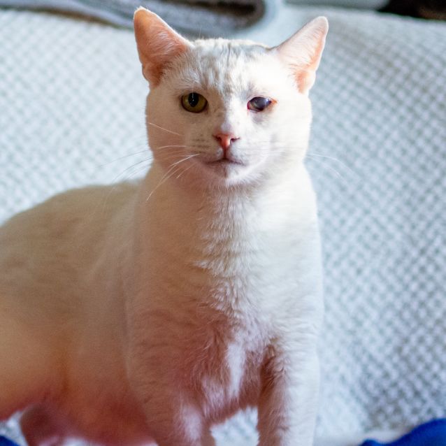 Photo of Casper