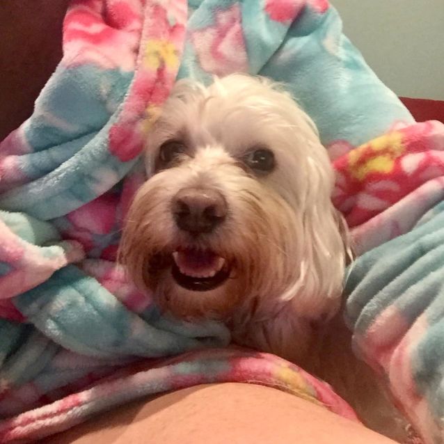 Photo of Sammy Db507