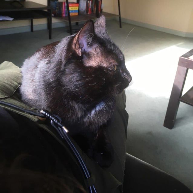 Photo of ❤❤❤❤ Avery  ❤❤❤❤