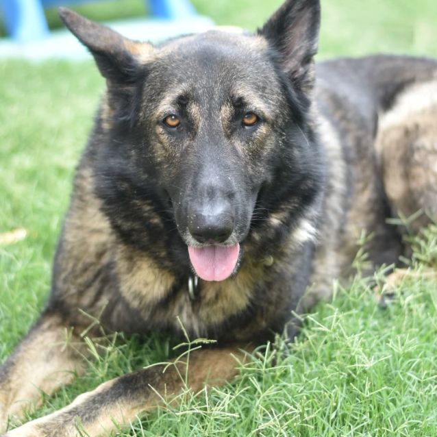 Photo of Sera