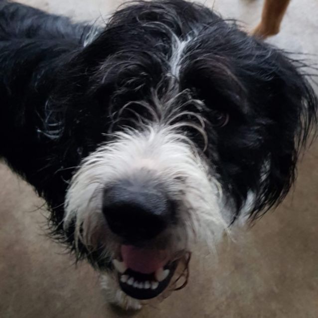 Photo of Benny