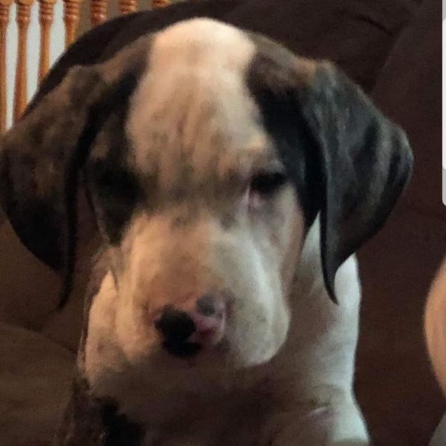 Photo of Bruce