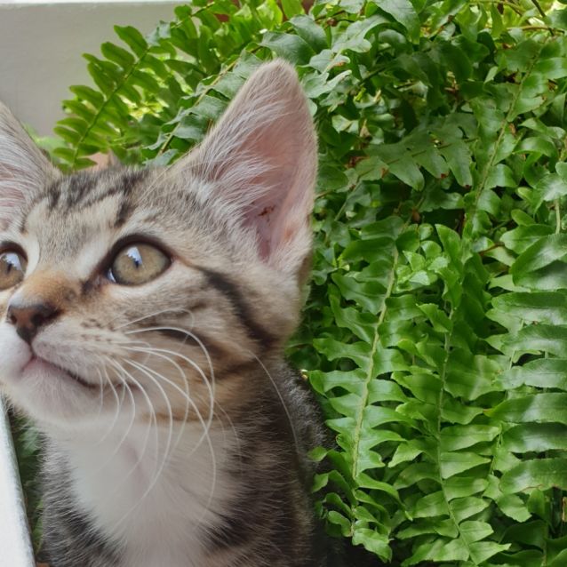 Photo of Penny & Leonard 