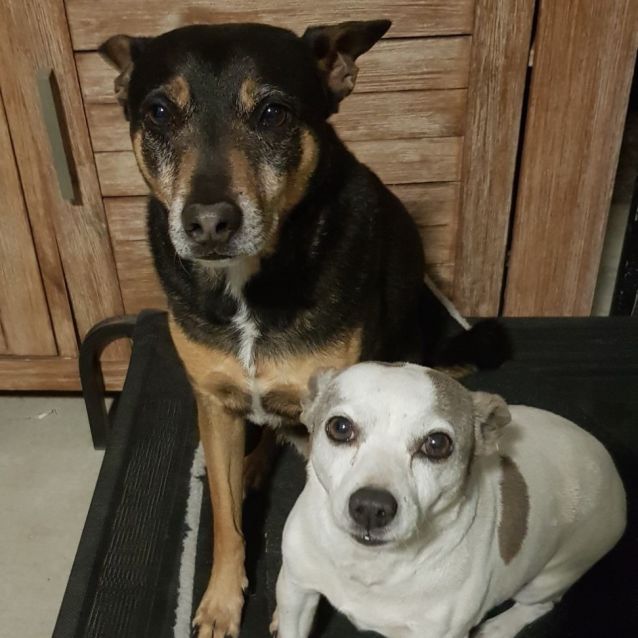 Photo of Maui And Daisy