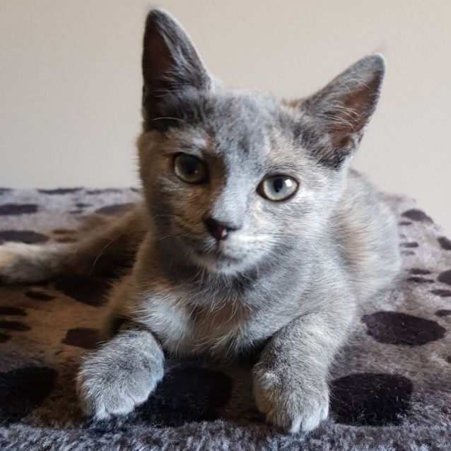 Photo of Mimi