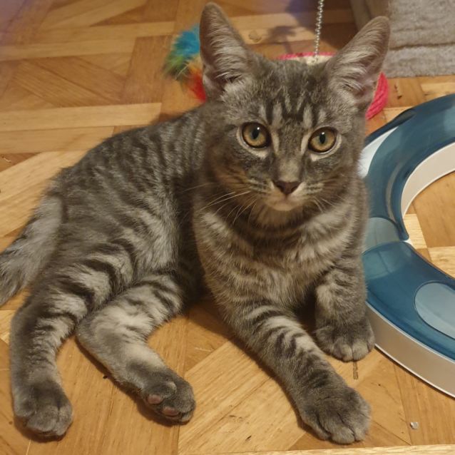 Photo of Storm