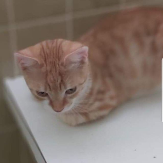 Photo of Precious 