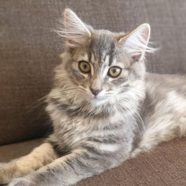 Photo of Princess