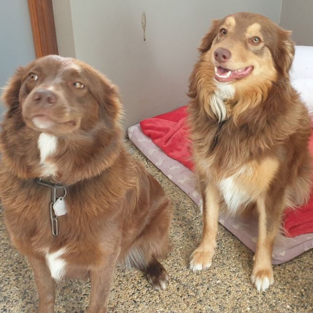 Photo of Ferrero & Rocher