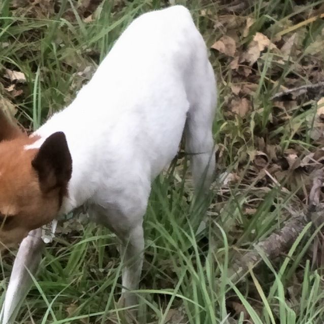 Photo of Sugar